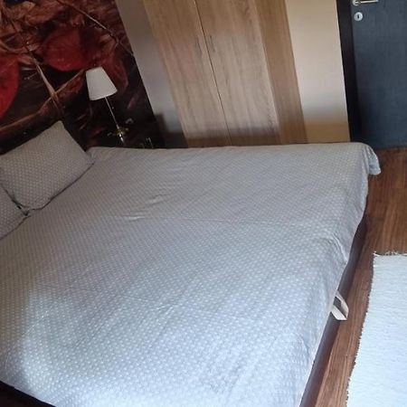 Apartment Vila Sandra Златибор Екстериор снимка